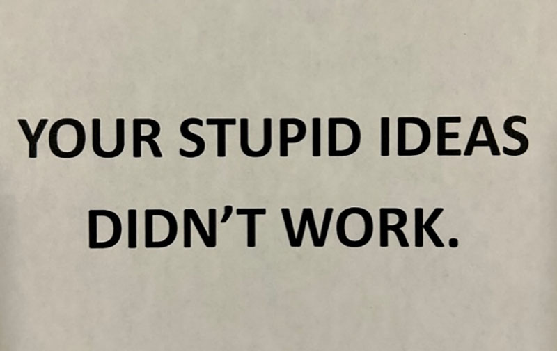 Your Stupid Ideas Do Not Work