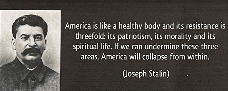 America is Like a Healthy body quote by Joseph Stalin