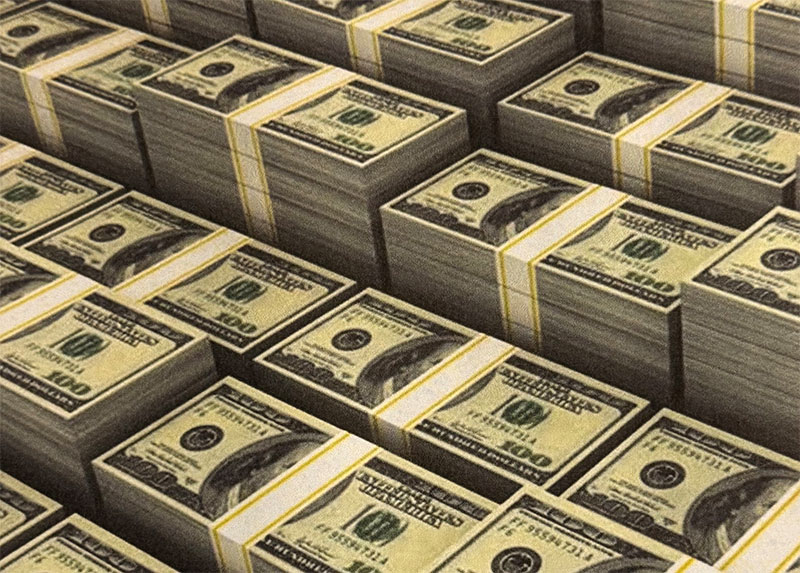 Lots of Money 2025 Lamb