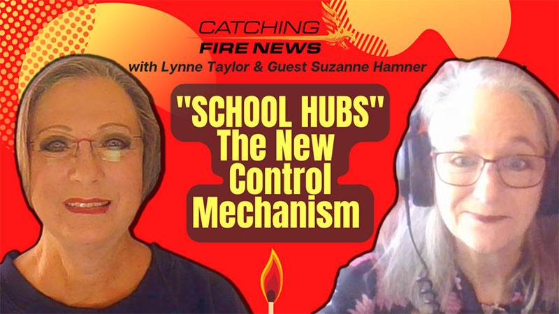 School Hubs The New Control Mechanism