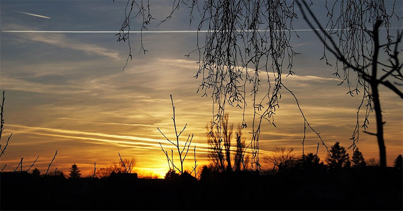 Stop the Chemtrail Destruction Heres a bill every legislator needs to support