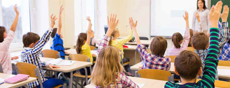 Students Raising Their Hands in Class