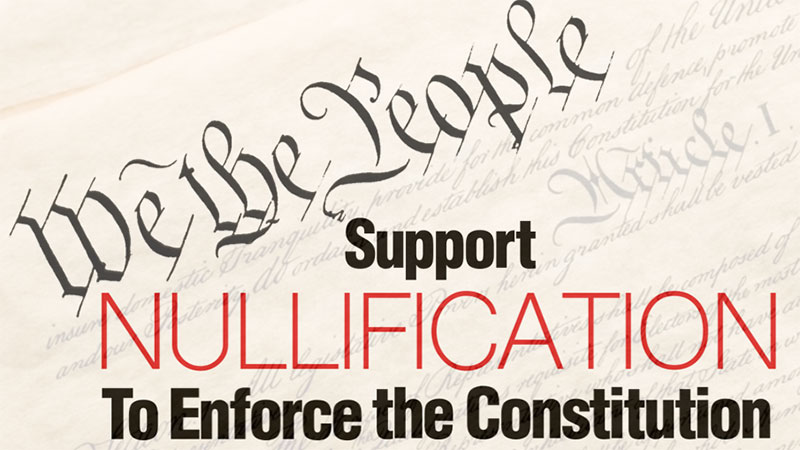 Support Nullification to Enforce the Constitution