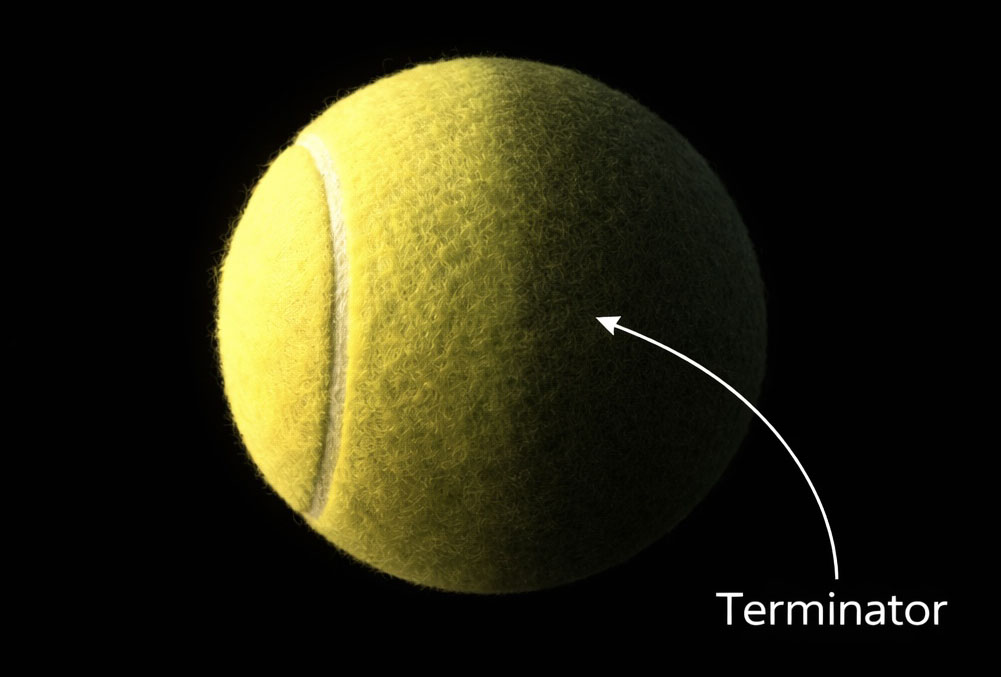 On real spherical objects, the terminator is not always a sharp line, but a gradual transition caused by surface curvature and light angle. Nonetheless, although diffuse, it remains a clear and distinctive divide separating the illuminated side from the darkened side.