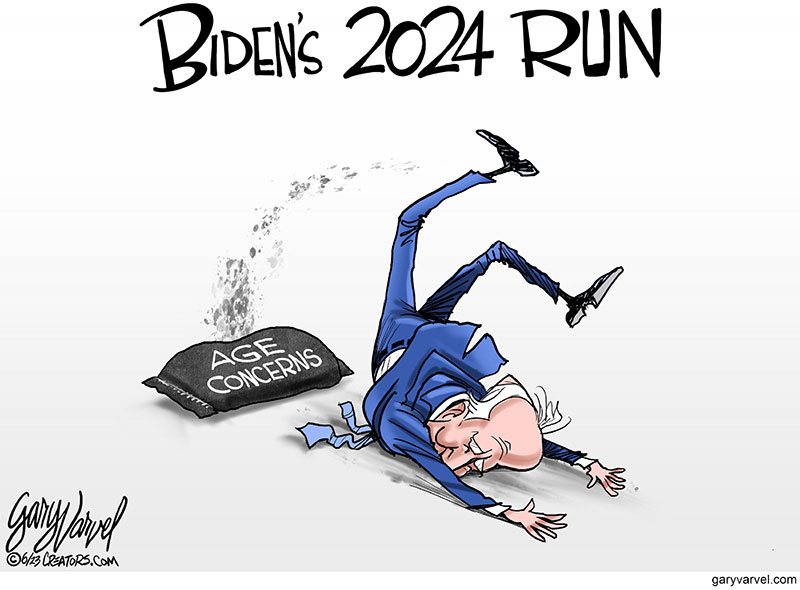 Biden's 2024 Campaign The Times Examiner