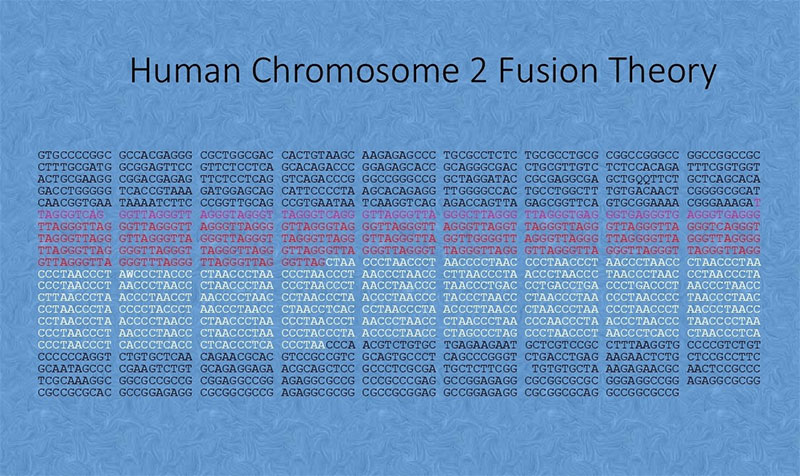 ideal fusion site