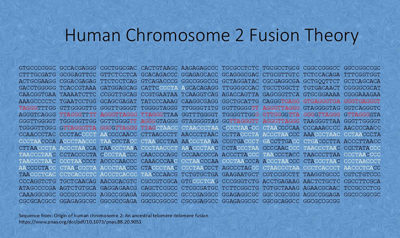 real fusion site